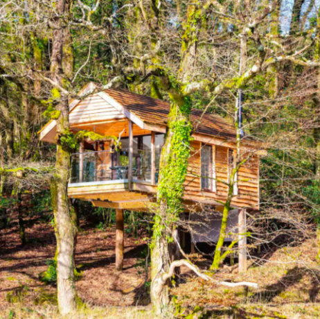 yeworthy eco treehouse, eworthy, angleščina