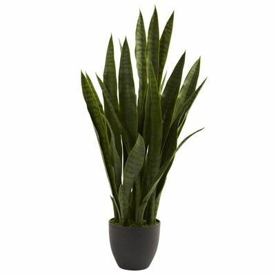 Umetna Sansevieria s črnim sadilnikom