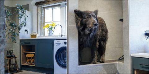 Zasnovana je shramba s srednjo prho za pse, prostorom za shranjevanje in pralnico po meri nameščeno z uporabo popolnoma novega kuhinjskega pohištva iz masivnega pepela, pembroke, v priljubljeni gozdno zeleni roki pobarvan zaključek
