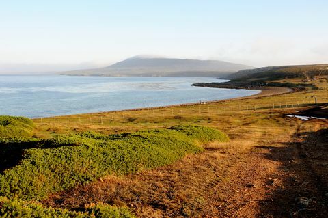 Pejzaž v bližini Pebble Island Lodge, Pebble Island / Falklandski otoki