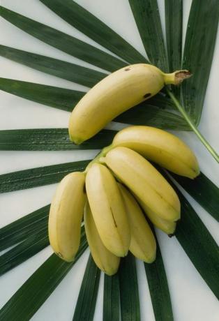 miniaturno sadje, banane