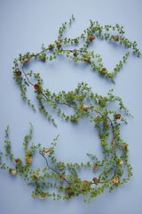 Gozd Pinecone Garland 