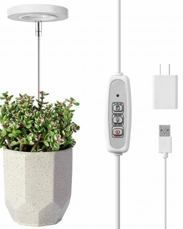 LORDEM Grow Light, LED-svetilka s polnim spektrom za rastline v zaprtih prostorih, po višini nastavljiva rastoča svetilka s časovnikom za samodejni vklop in izklop 4812H, 4 zatemnjene svetlosti, idealno za majhne rastline