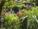 Nekdanja oblikovalka vrtov ustvarja osupljiv 'Olimpijski vrt' na svojem domu
