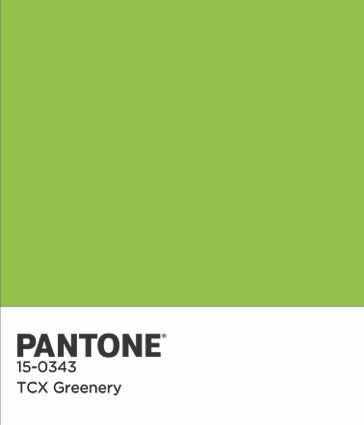 Barvni čip Pantone COTY 2017