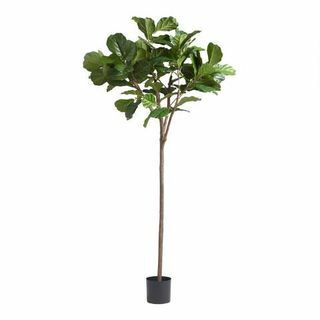 6 Foot Faux Fiddle Leaf Fig 