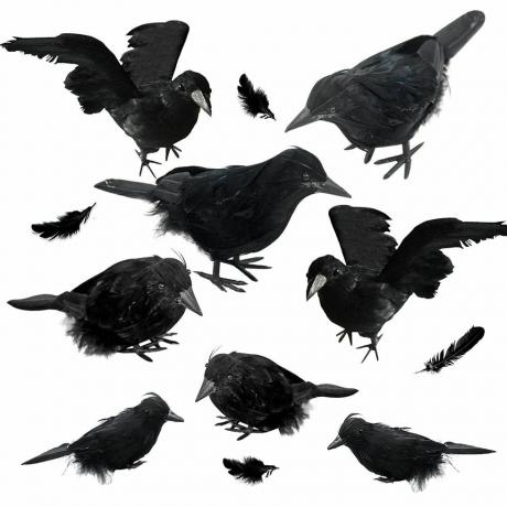 Črne pernate vrane, komplet 8 kosov