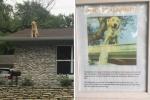 Ta družinski znak razloži, zakaj njihov pes ljubi sedeti na strehi