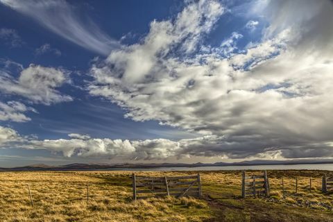 Ograja in oblaki v pozni popoldanski svetlobi, prodnat otok, Falklandski otoki