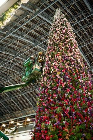 Na postaji St. Pancras, London, je bila razkrita cvetlična božična drevesa 47ft.