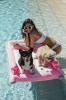 Ti luksuzni pasji plavalni bazeni bodo nova najljubša igrača vaše psičke