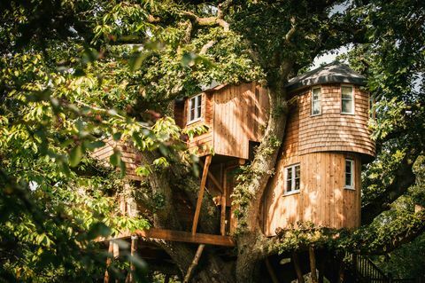 Treehouse Treetops - hiša Devon - Nadstrešnica