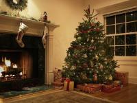 Real vs. Ponarejena božična drevesca: katera je prava za vaš dom?