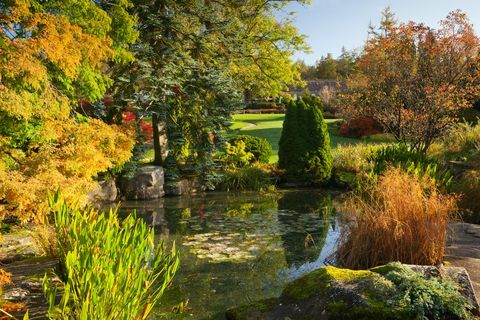 peščeni skalni vrt rhs garden harlow carr jesen, oktober 2019