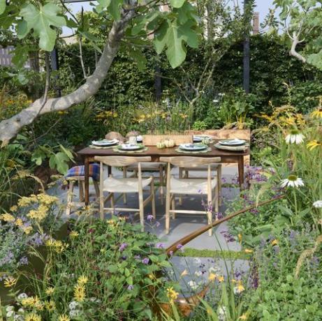 chelsea flower show 2021 vrt zavetja peteršilja, ki ga je zasnoval alan williams