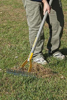 Dethatching Rake, 54-palčni leseni ročaj