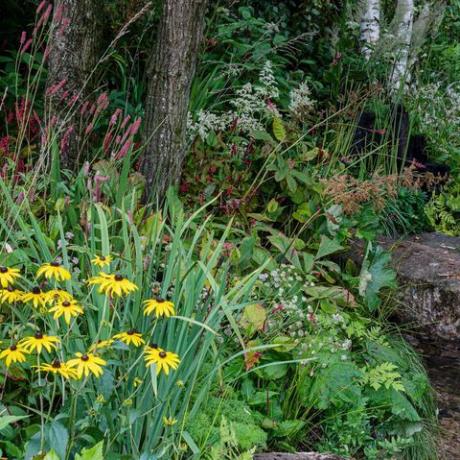 Zmagovalci nagrad po izboru ljudi chelsea Flower Show 2021