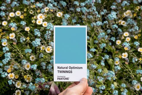 Twinings Infuzions Naravni optimizem v povezavi s Pantone