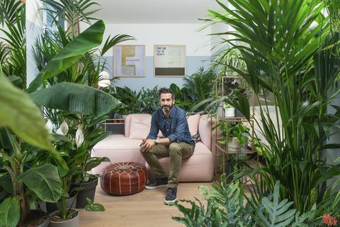 houseplant-hotel-leman-locke-east-london