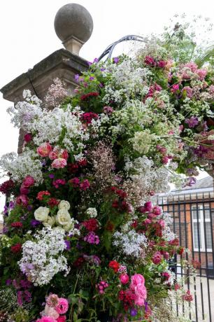 lucy vail cvetličarstvo, ne še ena cvetoča instalacija vročinskih valov rhs chelsea flower show 2023