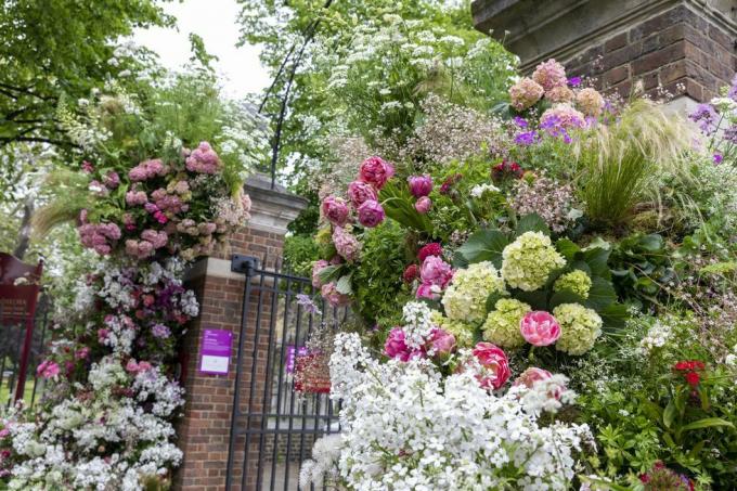 rhs Chelsea flower show 2023 cvetličarstvo lucy vail ni še ena cvetoča instalacija vročinskega vala