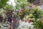 Vrata Chelsea Flower Show 2023 preoblikovana zaradi podnebnih sprememb