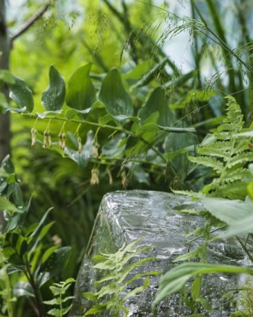 chelsea flower show 2022 the plantman's ice garden oblikoval john warland sanctuary garden