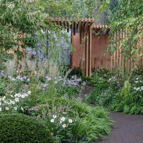 vrt florence Nightingale praznovanje sodobne zdravstvene nege, ki ga je zasnoval Robert Myers, sponzoriran s strani Burdett Trust for nursing show garden rhs chelsea flower show 2021 stojnica št. 322