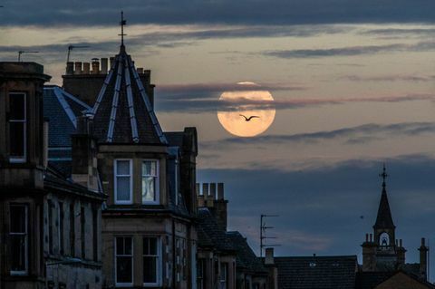 Rožnati Supermoon