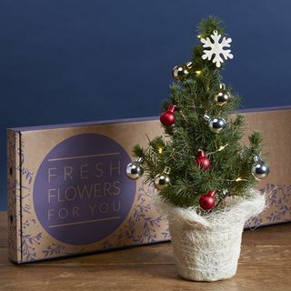 Božično drevo Letterbox
