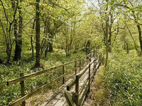 Ena izmed najboljših rezidenčnih hiš Dartmoor za prodajo