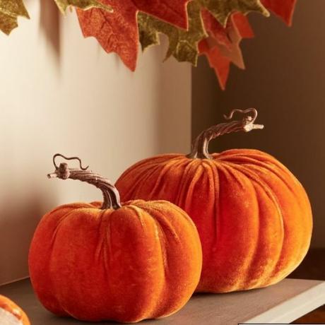 Komplet 2 žametnih okraskov za noč čarovnic Autumn Pumpkin 