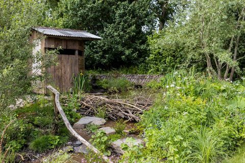 britanska pokrajina, ki sta jo zasnovala Lulu urquhart in adam Hunt, sponzorirana s projektom, ki daje nazaj v podporo razstavi rewilding britain garden rhs chelsea flower show 2022