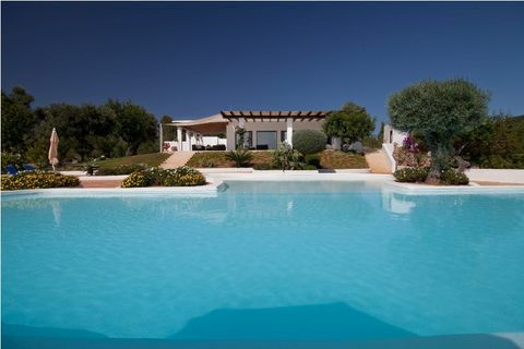 vila dalia - Ibiza - bazen - Zoopla