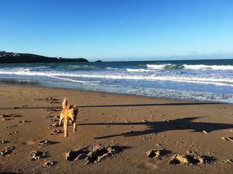 pogled iz zraka na newquay v Cornwallu v Veliki Britaniji