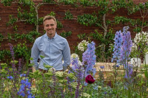 Jamie Butterworth na svojem razstavnem vrtu Wedgwood v RHS Chatsworth Flower Show.