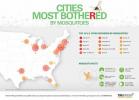 Najslabša ameriška mesta za komarje