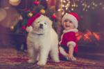 V London prihaja božična tržnica za pse