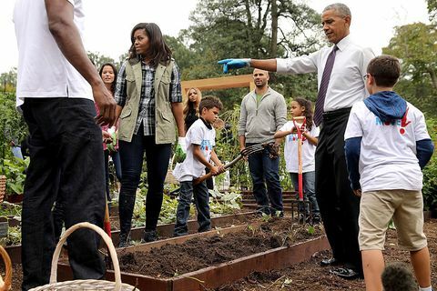 Ameriška prva dama Michelle Obama in predsednik Barack Obama prirejata dogodek, s katerim bodo na južnem travniku Bele hiše, 6. oktobra 2016, v Washingtonu, DC, pobrali kuhinjski vrt White House