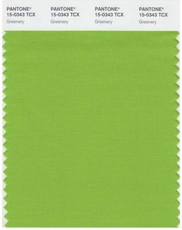 Pantone zelena barva leta 2017