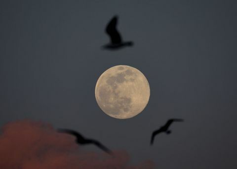 Supermoon v turškem Istanbulu