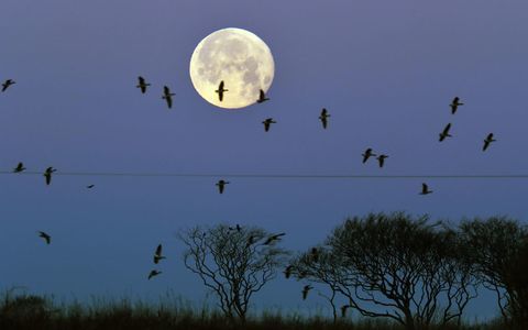 Supermoon Northumberland UK